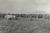 A Hidden History: Riverside’s Forgotten Fairgrounds