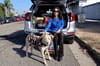 Neighbor of the Week: Lori Rich
