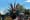 Riverside's Historic Casa Blanca Neighborhood to Host 116th Cinco de Mayo Celebration